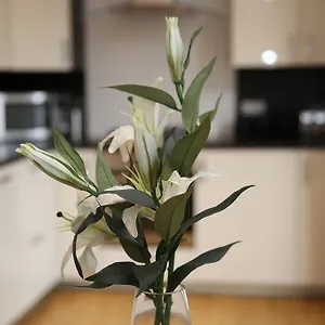 Apartment Dalry House, Edinburgh
